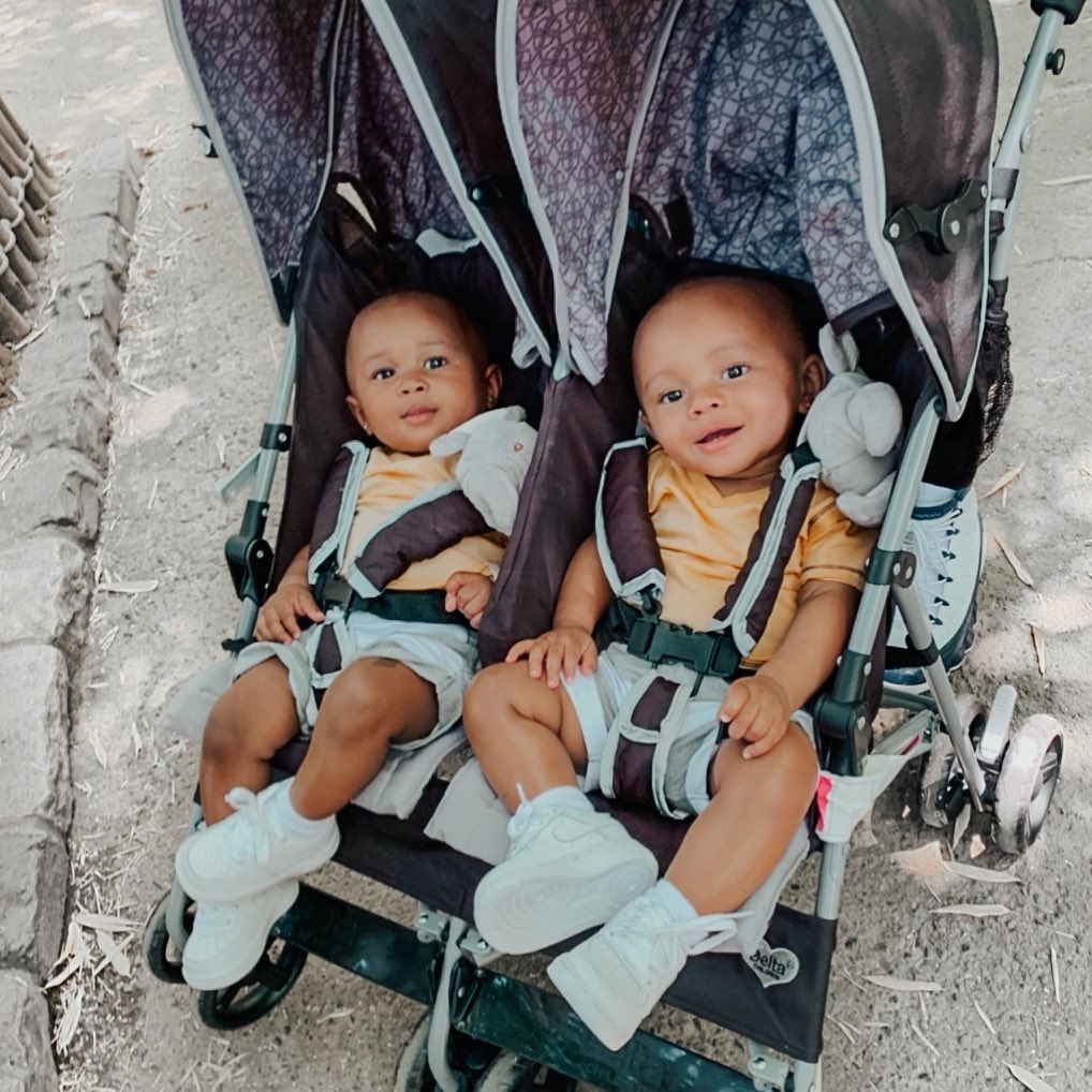 Thegainestwins