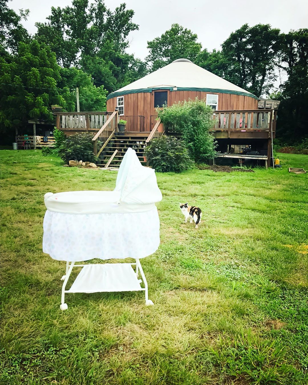 Yurtfarmmama6