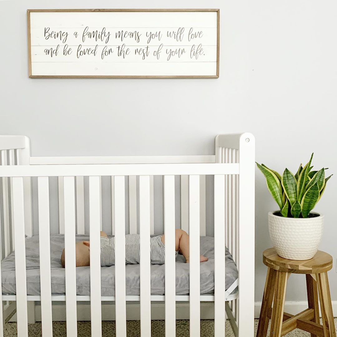 66410396 432674444255238 3378717204013683643 n