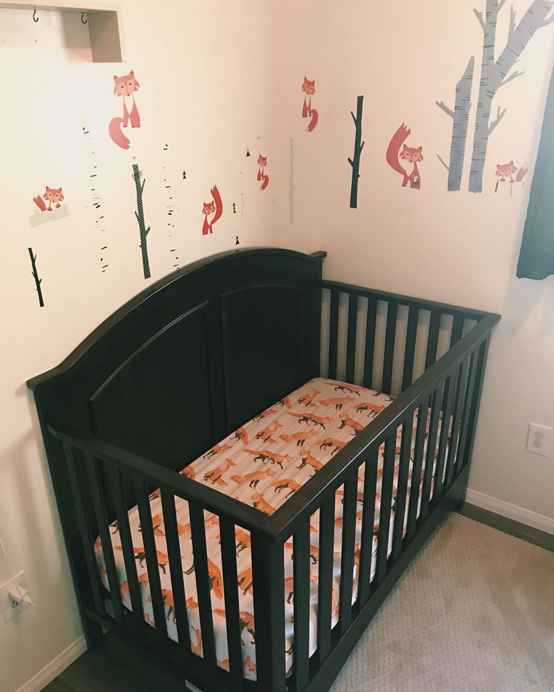 82993869 140356957461403 8568425216552662472 n