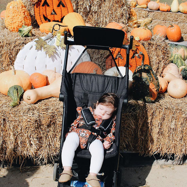 Pumpkinandgray