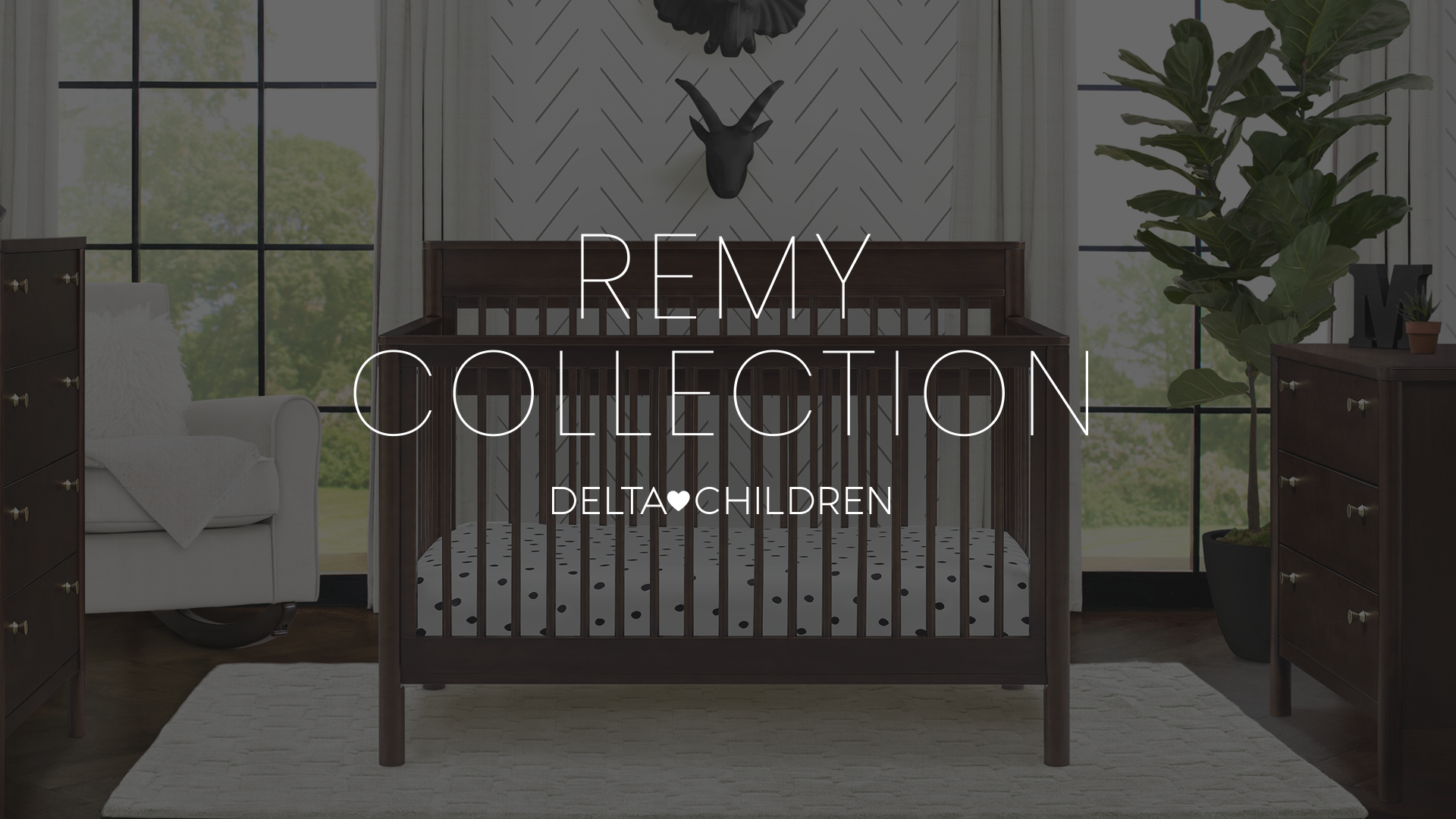 Remy+collection+thumbnail