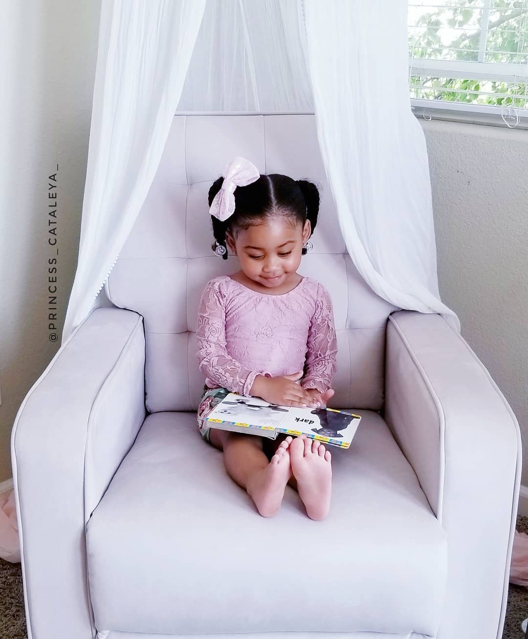 Princess cataleya