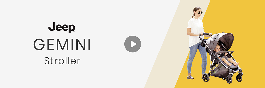 Gemini