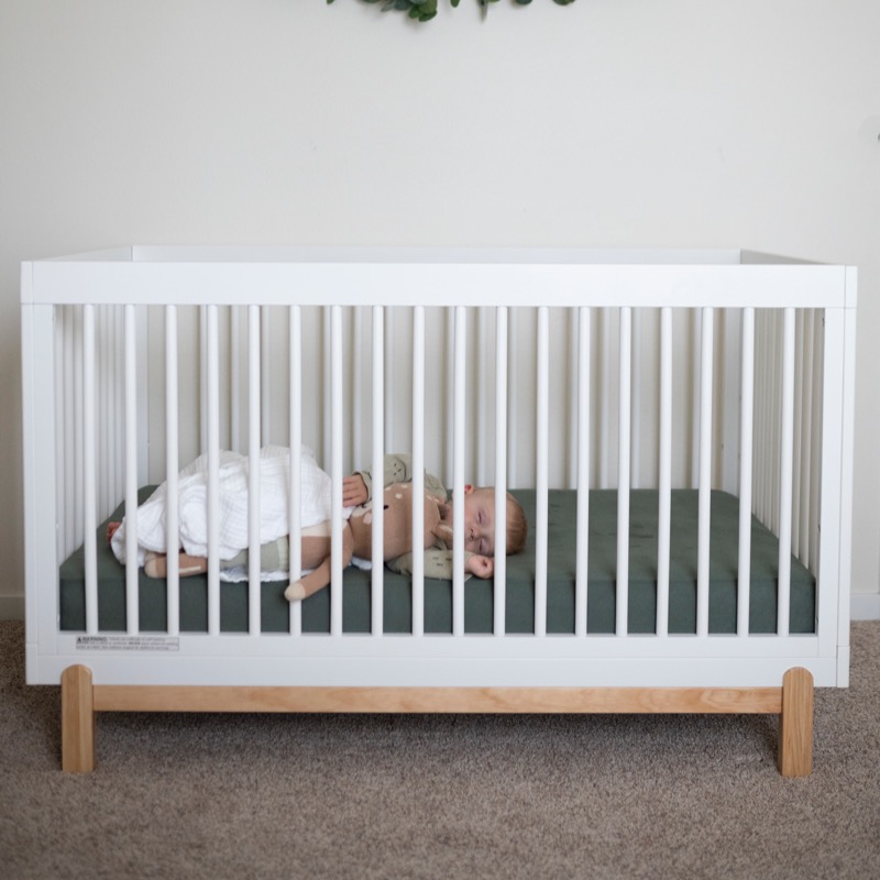 Chasinglittlecubs