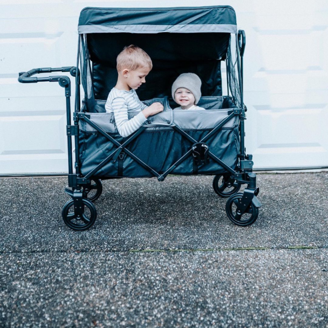 Chasinglittlecubs