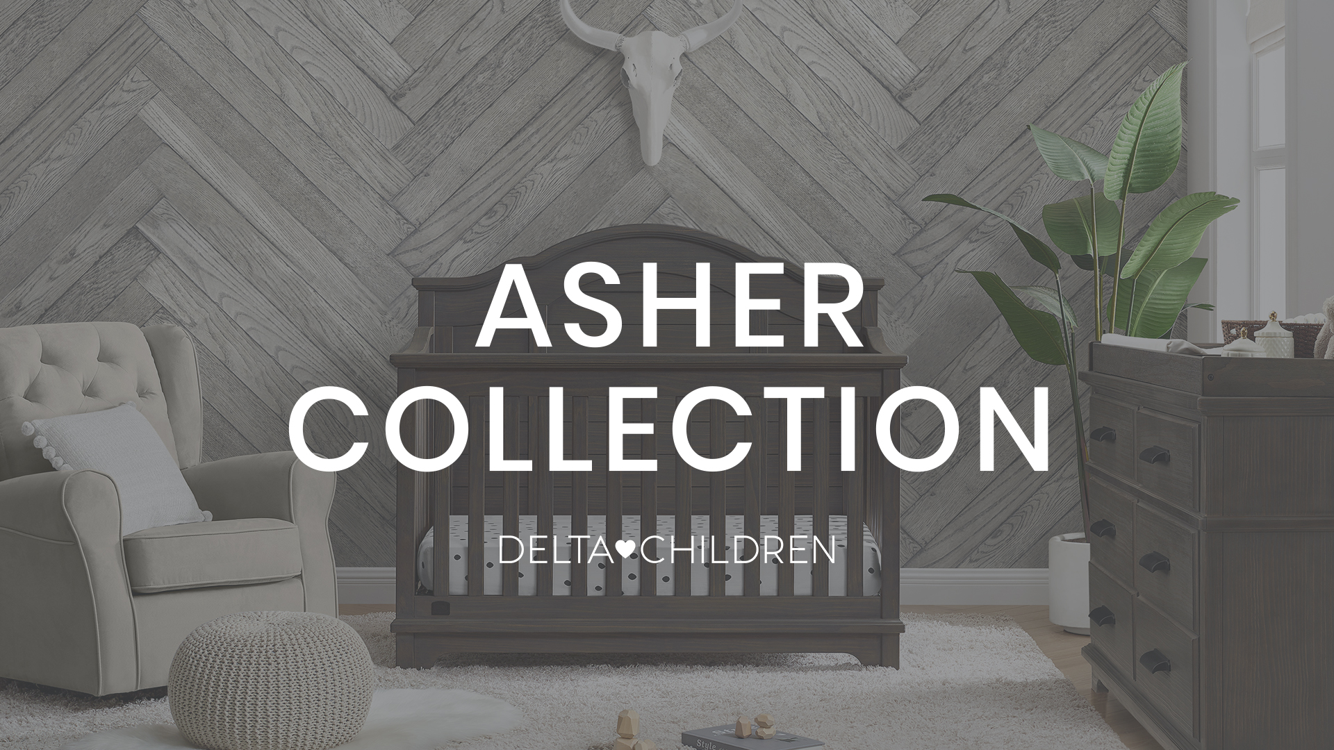 Asher