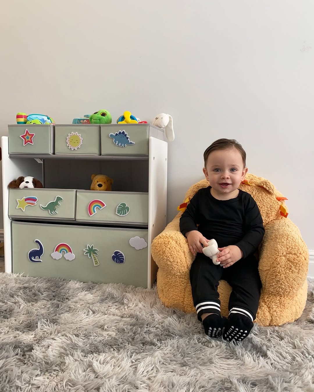 Delta+children+design+&+store+6+bin+toy+storage+organizer+with+interchangeable+patches,+green pinkdelta+children+lion+cozee+buddy+chair,+orangethank+you+++@deltachildren