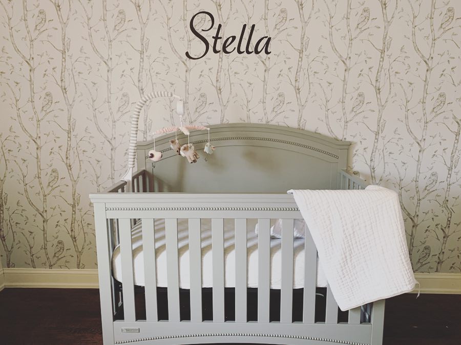 Emma Crib 'N' More Delta Children