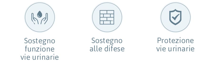 Proprietà e Benefici di Sanuril Proprietà e Benefici di Sanuril