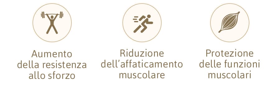 proprietà e benefici di Sport 1 Endurance Salugea