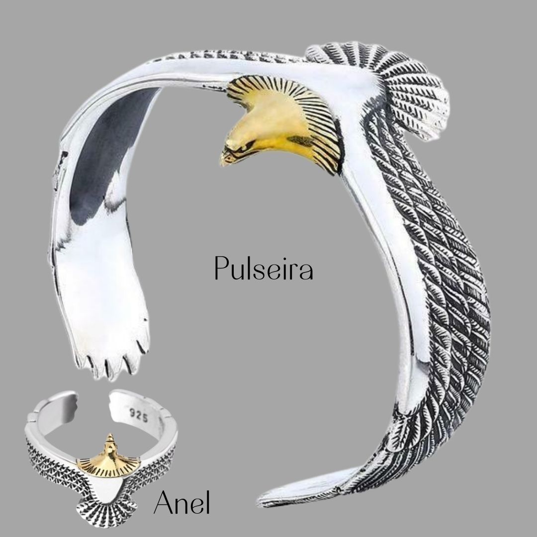 conjunto masculino, anel masculino, pulseira masculina, estilo moderno, pulseira moderna, homem moderno, águia, prata 925, banhado à prata, semijoia de qualidade, antialérgico, aço inoxidável, design moderno, homem forte