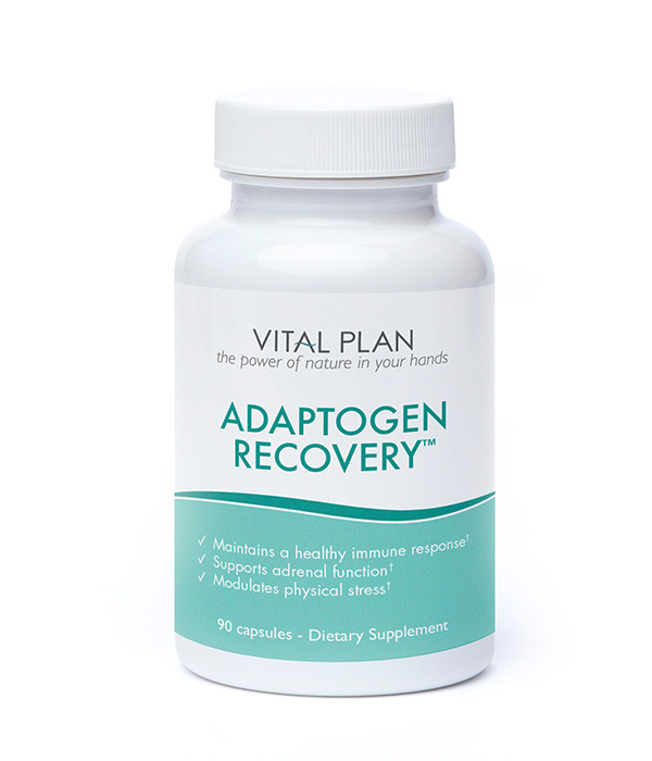 Adaptogen Recovery